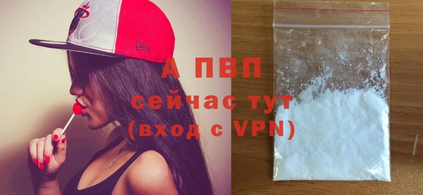 дмт Пересвет