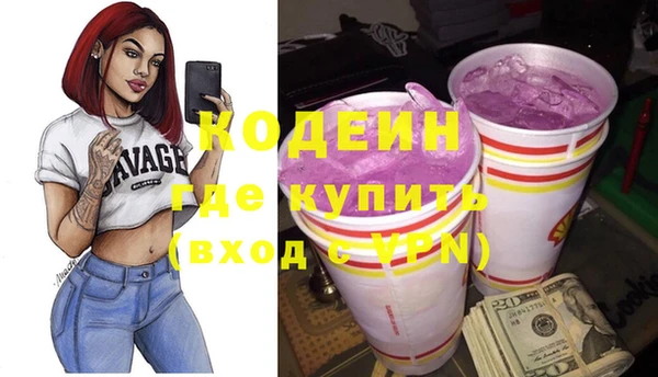 дмт Пересвет